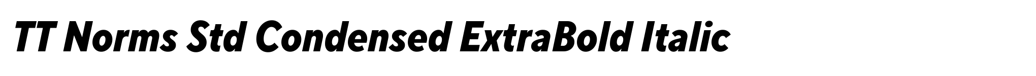 TT Norms Std Condensed ExtraBold Italic image